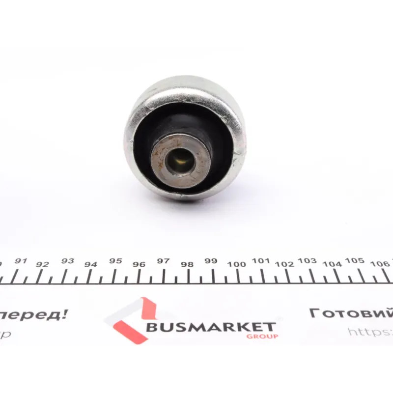 Комплект сайлентблоків важелів (передніх) Renault Clio III/Modus 04- (к-кт 4 шт.)