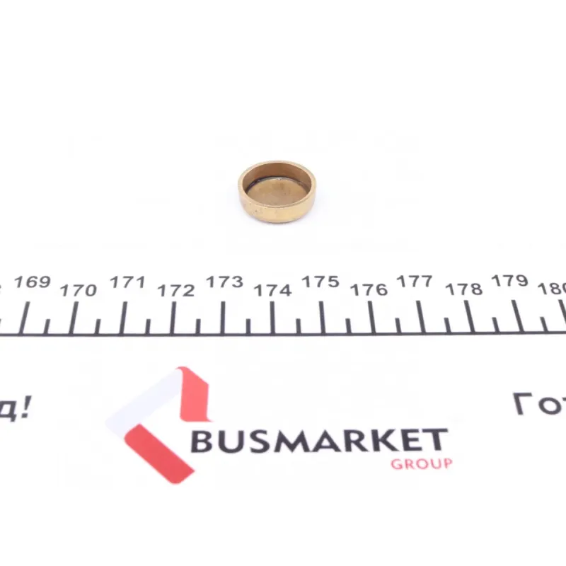 Заглушка блоку циліндрів (d=17,4mm) Латунь/Brass