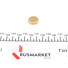 Купити Заглушка блоку циліндрів (d=20mm) Латунь/Brass | KovelAutoHub