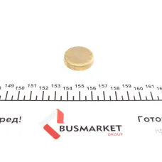 Заглушка блоку циліндрів (d=27,5mm) Латунь/Brass