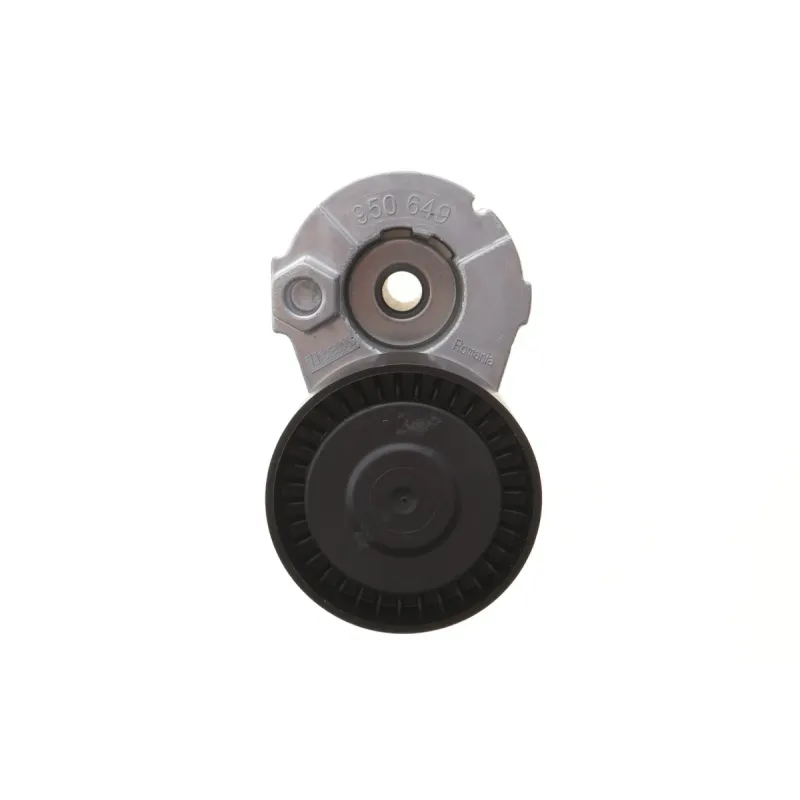 Комплект ременя генератора Renault Kangoo/Clio/Scenic/Megane 1.4/1.5dCi/1.6 00- (5PK1200)