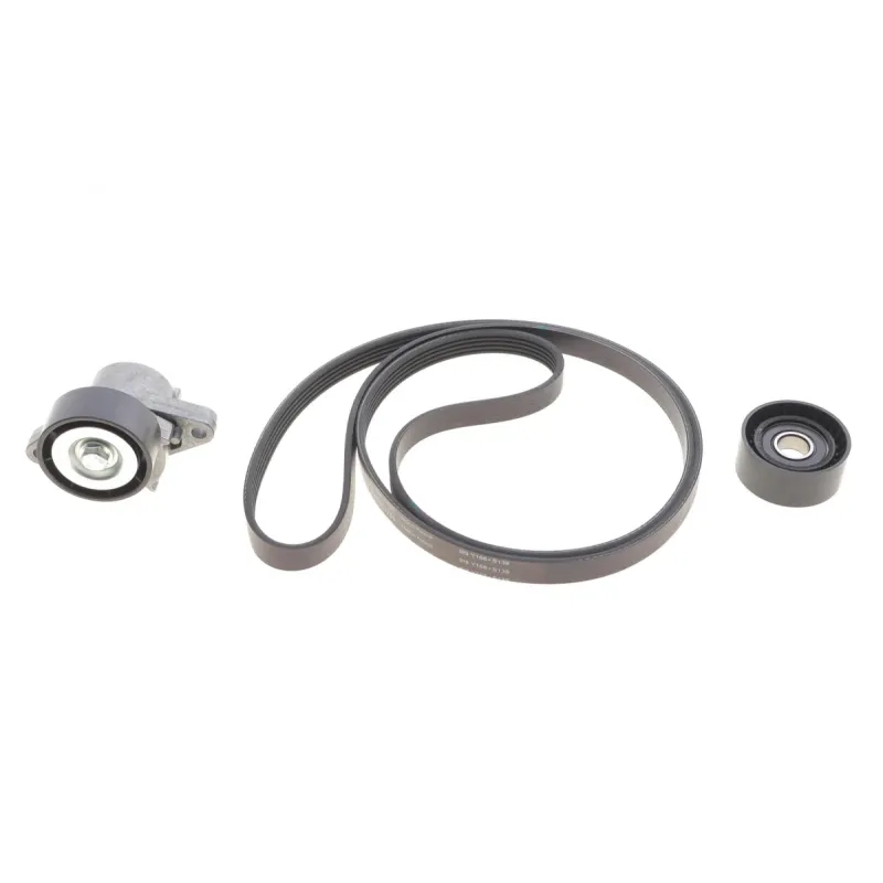 Комплект ременя генератора Renault Megane/Scenic 00-09, (5PK1750)
