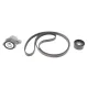 Комплект ременя генератора Renault Megane/Scenic 00-09, (5PK1750)