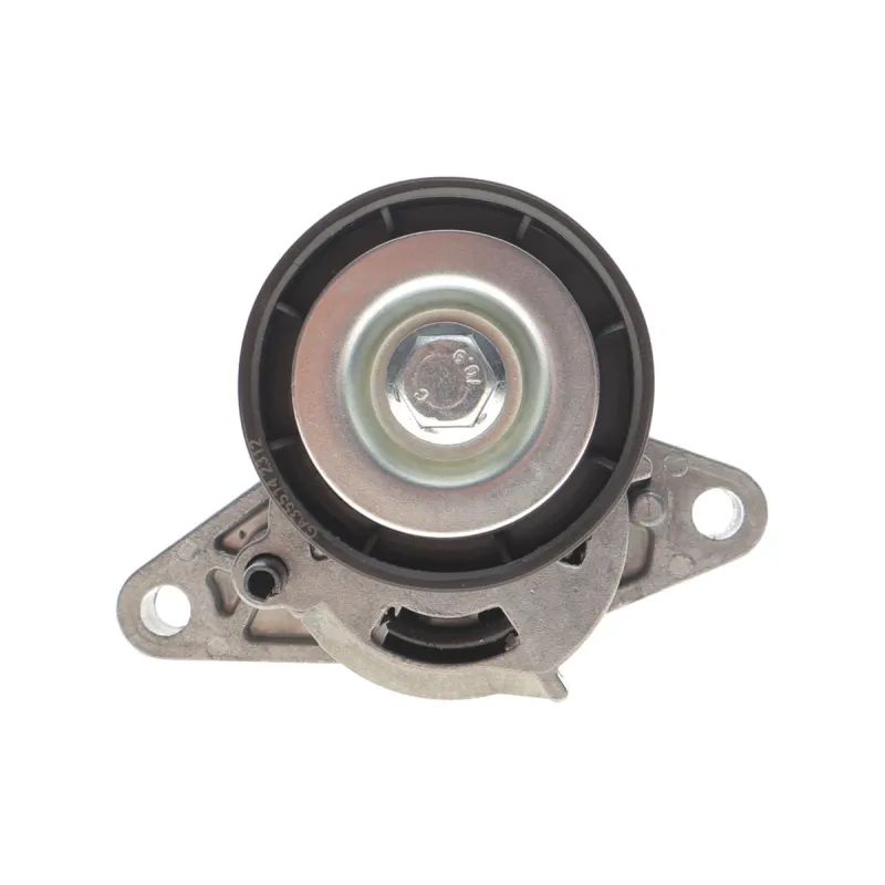 Комплект ременя генератора Renault Megane/Scenic 00-09, (5PK1750)