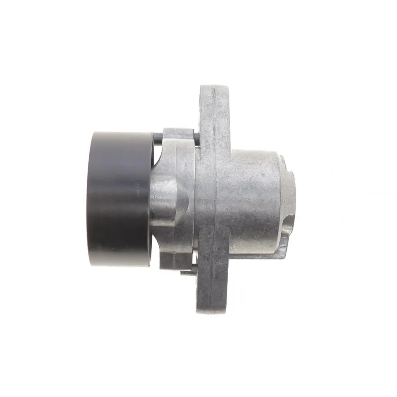Комплект ременя генератора Renault Megane/Scenic 00-09, (5PK1750)