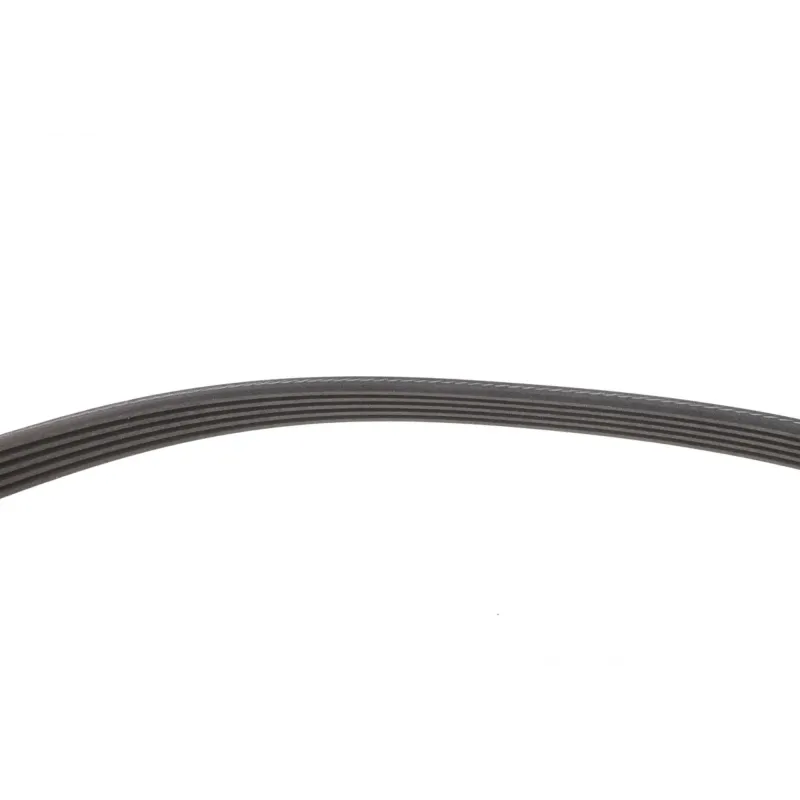 Комплект ременя генератора Renault Megane/Scenic 00-09, (5PK1750)