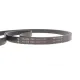 Комплект ременя генератора Renault Megane/Scenic 00-09, (5PK1750)