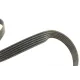 Комплект ременя генератора INA 529 0084 10 для VW Caddy, Seat Ibiza, Skoda Felicia 1.4/1.6 1995-2004 6PK1070