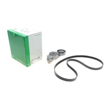 Комплект ременя генератора INA 529 0096 10 для VW Passat B5 1996-2005, Audi A4 B5 1994-2001, 5PK1300