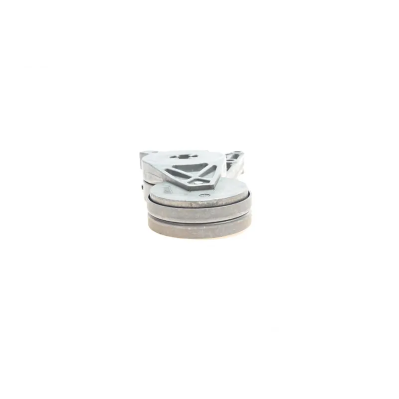 Комплект ременя генератора INA 529 0096 10 для VW Passat B5 1996-2005, Audi A4 B5 1994-2001, 5PK1300