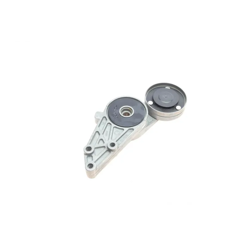 Комплект ременя генератора INA 529 0096 10 для VW Passat B5 1996-2005, Audi A4 B5 1994-2001, 5PK1300