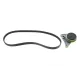 Комплект ременя генератора INA 529009910 для Audi A4 B5 1.9 TDI 1995-2001 (4PK855)