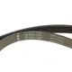 Комплект ременя генератора Citroen Jumpy/Peugeot Expert 1.9D 98-06 (6PK1390)