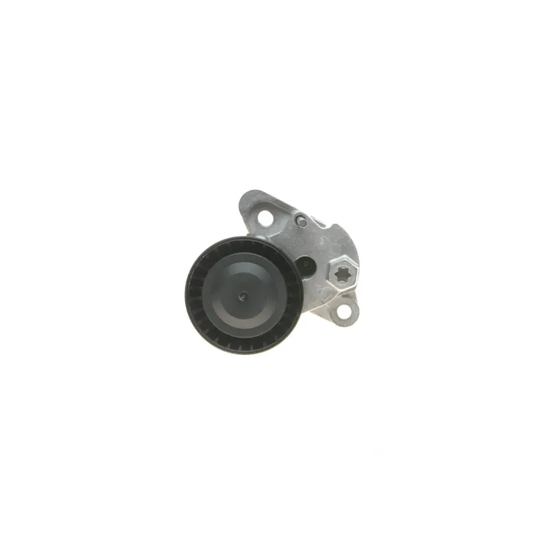 Комплект ременя генератора INA 529020810 для VW Caddy IV 1.6 2015-2020 (6PK1003)