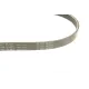 Комплект ременя генератора Citroen Jumper/Peugeot Boxer 2.2 HDi 06- (6PK1640/4EPK922)