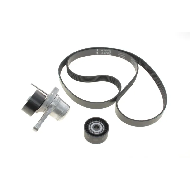Комплект ременя генератора Renault Megane II 2.0 dCi 05-09/ Nissan Qasqai I/X-Trail II 2.0dCi 07-