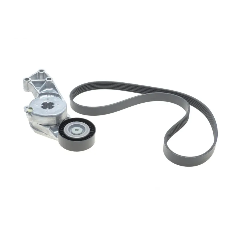 Комплект ременя генератора INA 529 0429 10 для Audi A3, VW Passat B6 1.6-2.0 2003-, 6PK1043