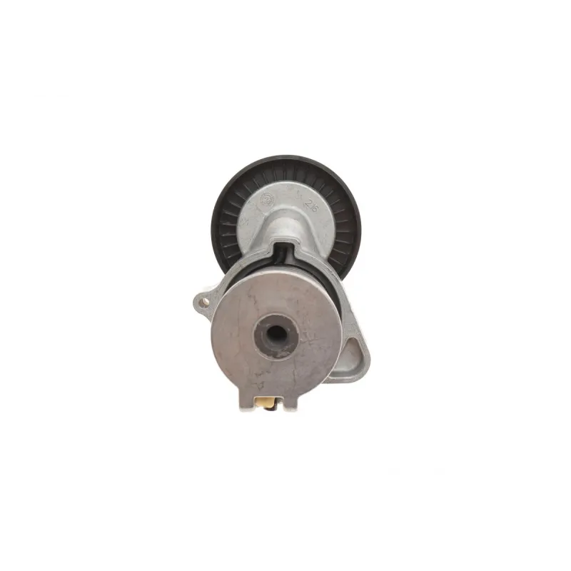 Комплект ременя генератора MB E-class (W212) 09-15 (6PK2315)