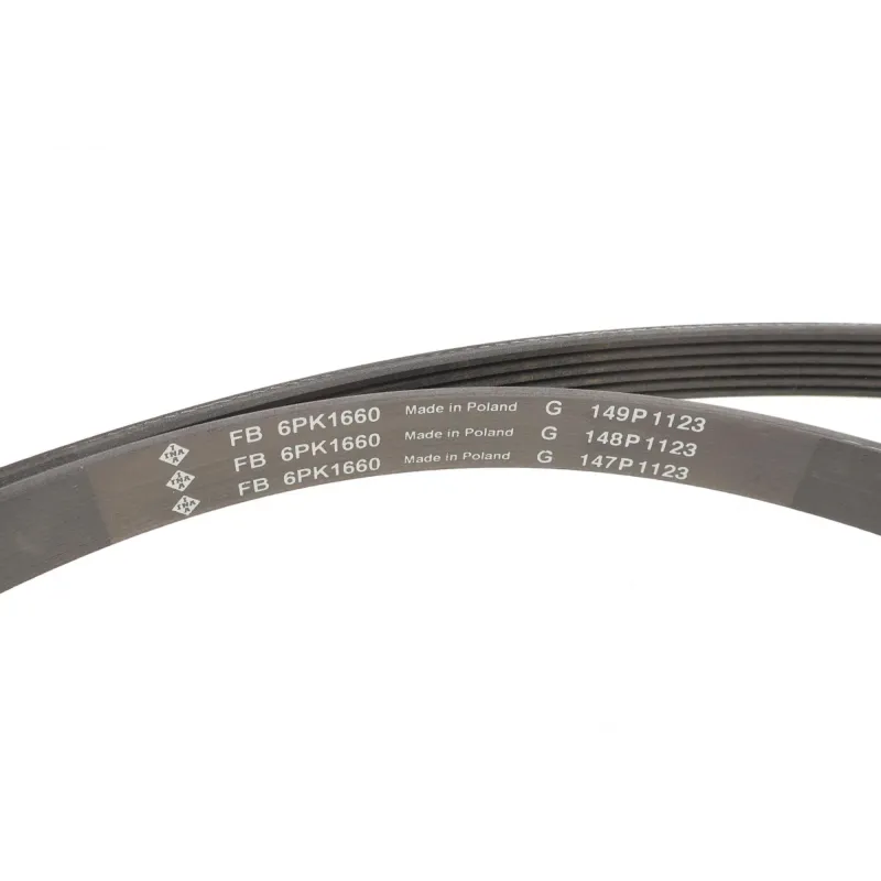 Комплект ременя генератора INA 529 0471 10 для Audi A3, Skoda Octavia 1.9D 1996-2010 (6PK1660)