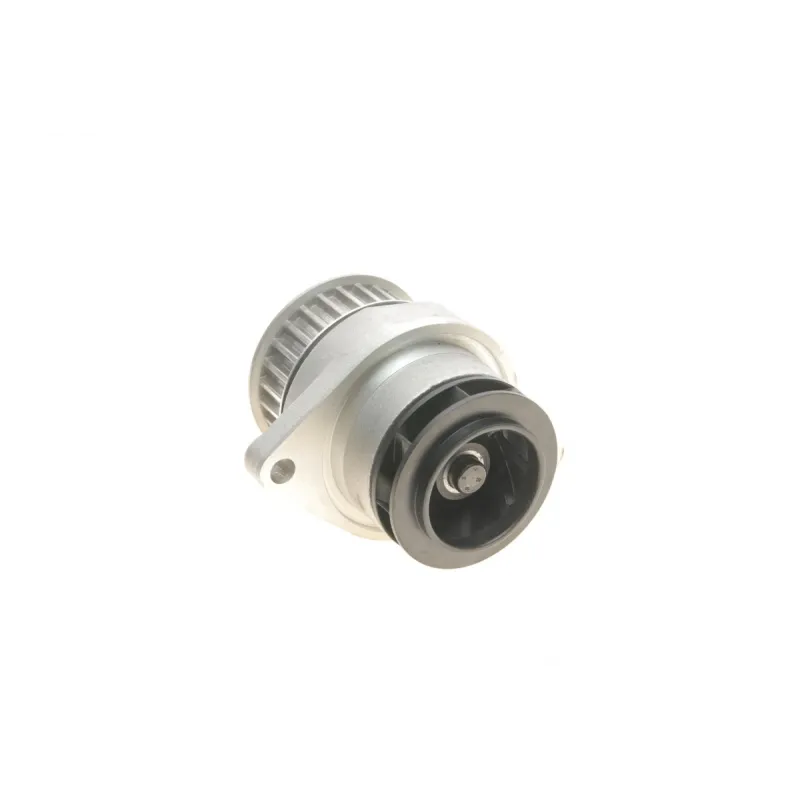 Комплект ГРМ з помпою INA 530008930 для Volkswagen Golf IV/Seat Leon 1.6 FSi 2000-2005
