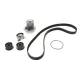 Комплект ГРМ з помпою INA 530035831 для Opel Frontera B 2.2 i, Omega B 2.2 16V, Chevrolet Captiva 2.4