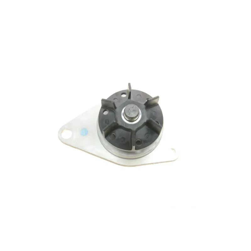 Комплект ГРМ з помпою INA 530 0419 30 для Citroen C4, Peugeot 307 1.4 16V