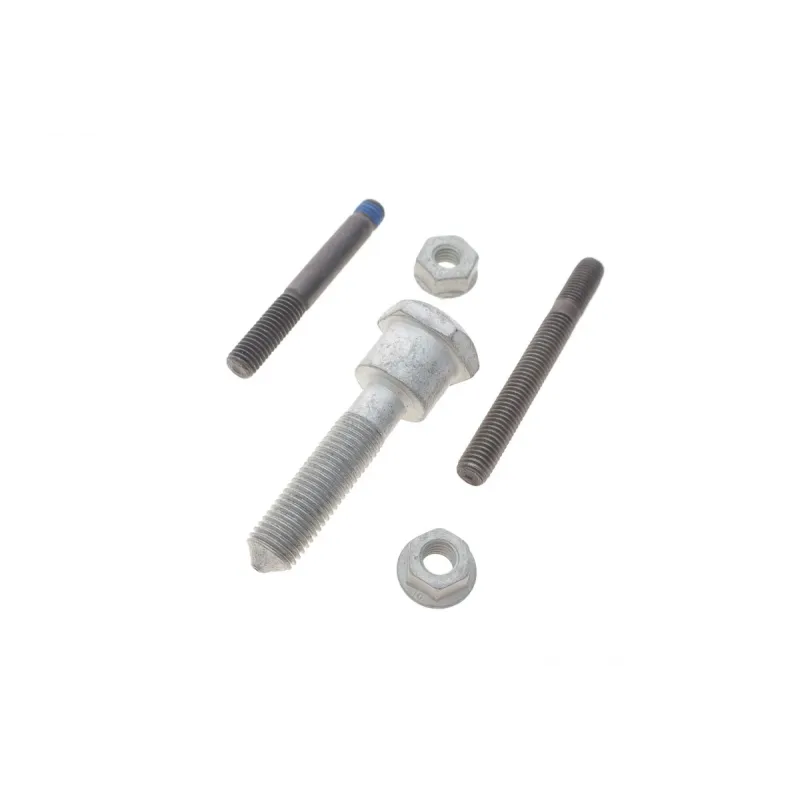 Комплект ГРМ з помпою INA 530 0463 30 для Skoda Octavia, VW Golf 2.0 TDI 2003-2013, 141 зубців, 30 мм