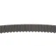 Комплект ГРМ + помпа Citroen Jumpy 2.0HDi (144x25.4) помпа 538 0008 10