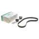 Комплект ГРМ INA 530 0489 10 для Citroen C5/C6/Peugeot 407 2.2HDI