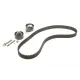 Комплект ГРМ INA 530 0489 10 для Citroen C5/C6/Peugeot 407 2.2HDI