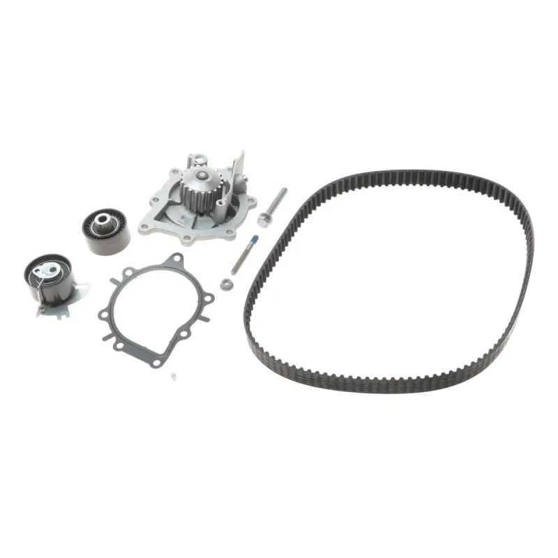 Комплект ГРМ з помпою INA 530048930 для Citroen C5/C6/C8, Fiat Ulysse, Ford Galaxy/Mondeo/S-Max 2.2HDI/TDCi