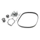 Комплект ГРМ з помпою INA 530048930 для Citroen C5/C6/C8, Fiat Ulysse, Ford Galaxy/Mondeo/S-Max 2.2HDI/TDCi