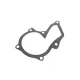 Комплект ГРМ з помпою INA 530 0495 30 для Ford Focus/Mondeo 1.4/1.6i 2003-