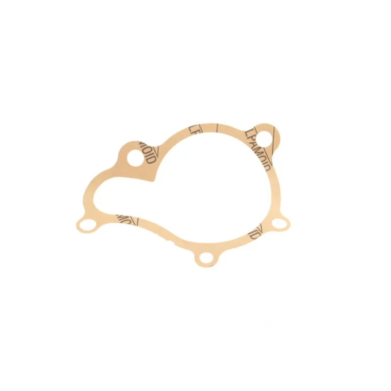 Комплект ГРМ з помпою INA 530 0502 30 для Hyundai Santa Fe/Tucson 2.0/2.2 CRDi 2001-2012