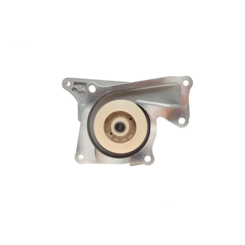 Комплект ГРМ + помпа Renault Kangoo/Megane III/IV/Dokker/Duster 1.5dCi 12-, (K9K/OM607)