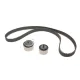 Комплект ГРМ INA 530 0641 10 для Jeep Wrangler/Cherokee 2.4 2001-2007, 146 зубців, 28 мм