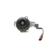 Комплект ГРМ з помпою INA 530065030 для Volkswagen Caddy 2.0TDI 2015-, Golf VII 1.6TDI/2.0TDI 2012-, 145 зубців, 25 мм