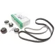 Комплект ГРМ INA 530 0766 10 для Citroen C5/C6, Land Rover Discovery/Range Rover Sport 3.0D