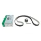 Комплект ГРМ INA 530 0850 10 для Land Rover Discovery IV/V 3.0 D/SDV6/TD 4x4 2009-, 195x29 мм