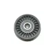 Ролик генератора Audi A4/A6/VW Passat 1.9-2.0TDI 98-05 (паразитний) (75.5x21.5x8)