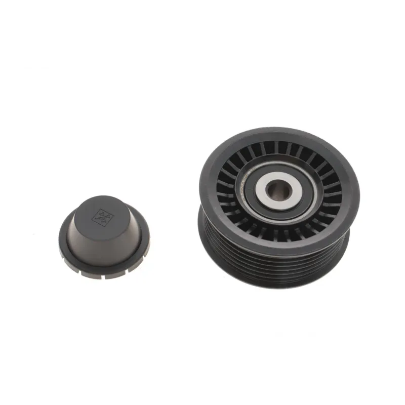 Ролик генератора Renault Megane III/Scenic III 1.2-1.4 12-(паразитний) (75х30.2), H5F/H4J