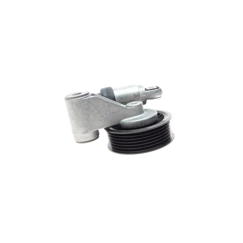 Натяжник ременя генератора VW LT/T4 2.5TDI/SDI 96-06