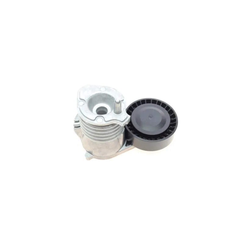 Натяжник ременя генератора INA 534002910 для Ford Focus, Volvo C30/S40/V50, 65 мм