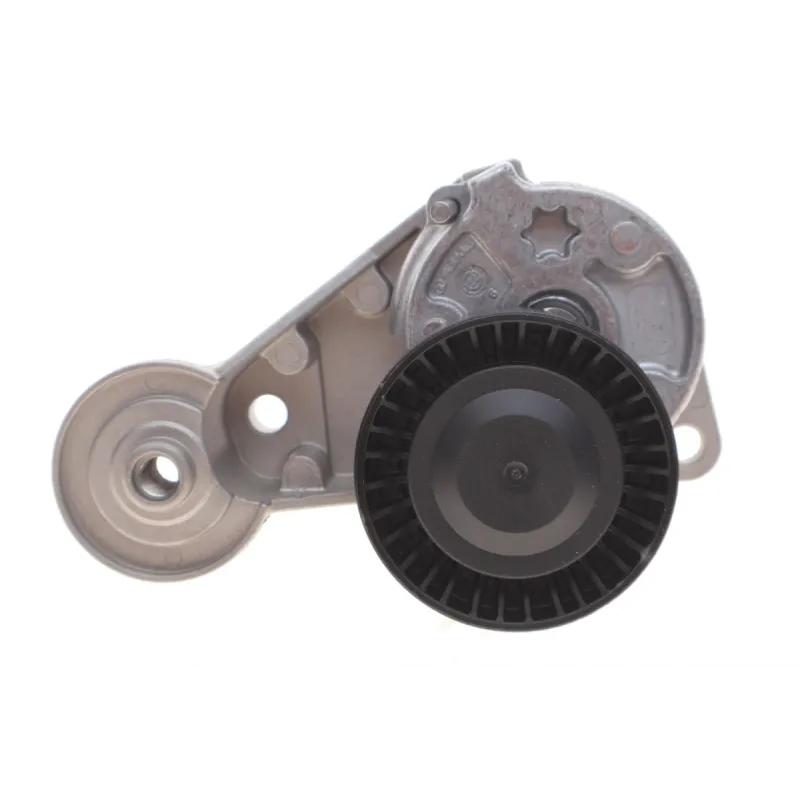 Натяжник ременя генератора INA 534004710 для Volvo S60/S80/V70/XC70/XC90 2.4D 2001-2014, 70x24 мм