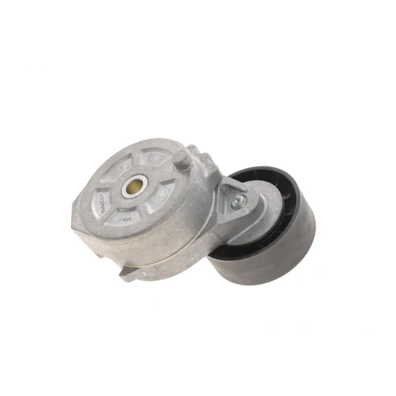 Натяжник ременя генератора INA 534006810 для Ford Mondeo IV, Peugeot 407 2.0TDCi/2.2 HDi 2006-, 65x25.5 мм