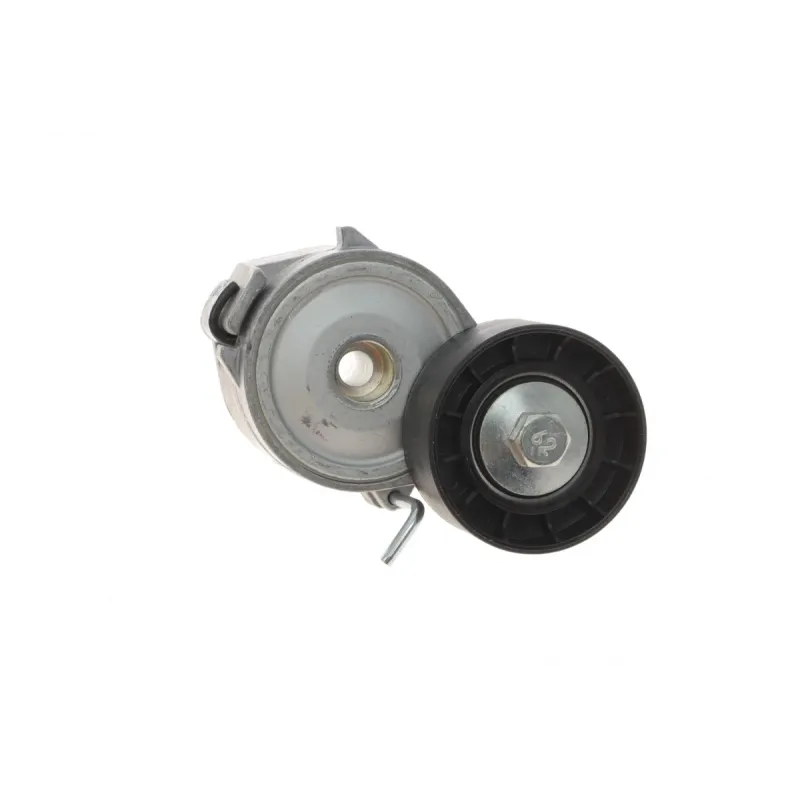 Натяжник ременя генератора INA 534006810 для Ford Mondeo IV, Peugeot 407 2.0TDCi/2.2 HDi 2006-, 65x25.5 мм
