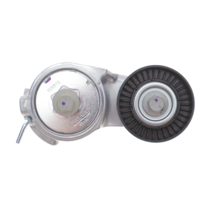 Натяжник ременя генератора INA 534 0069 10 для Fiat Doblo, Alfa Romeo Mito, Fiat 500, 65 мм