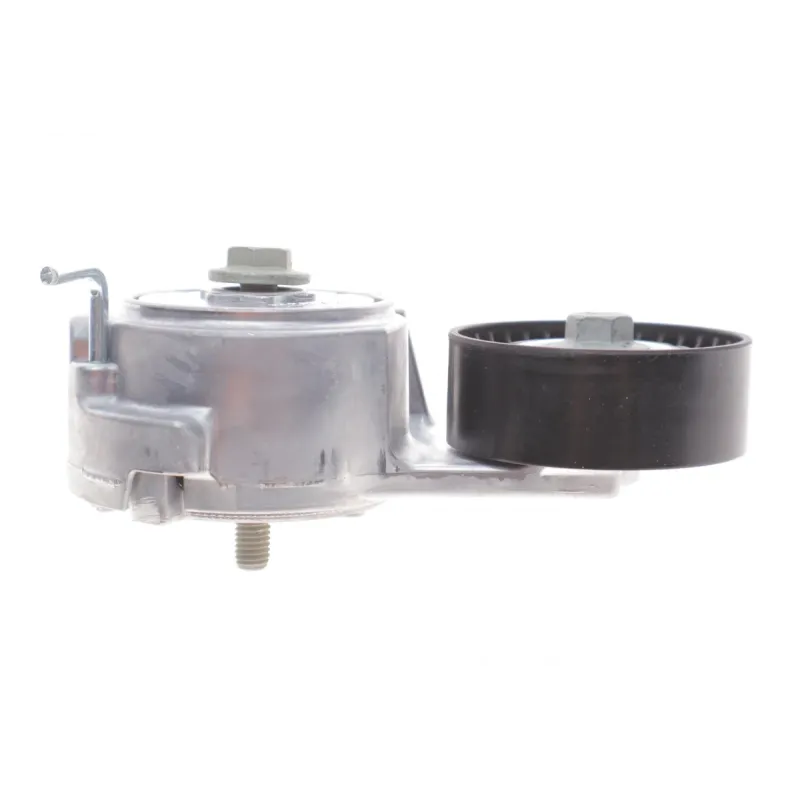 Натяжник ременя генератора INA 534 0069 10 для Fiat Doblo, Alfa Romeo Mito, Fiat 500, 65 мм