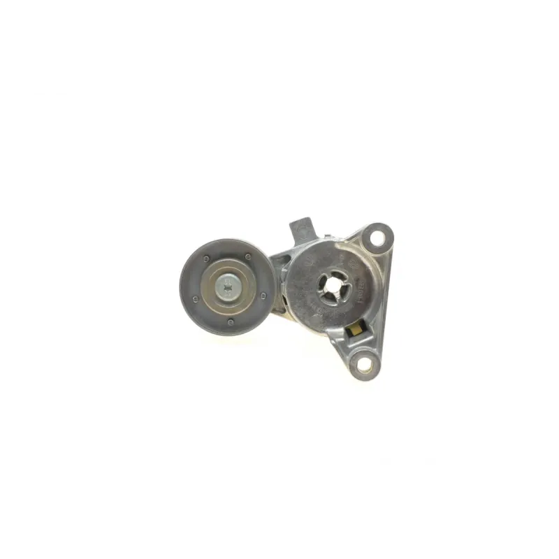 Натяжник ременя генератора Volvo S70/S80/V70 2.5 TDI 95-06