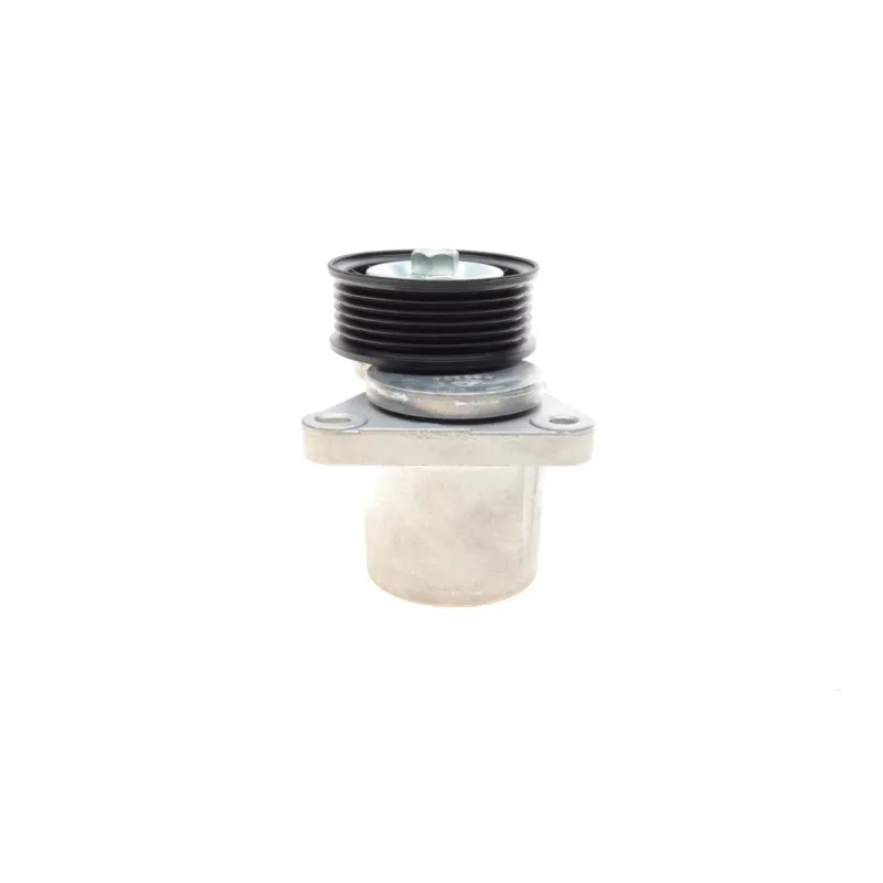 Натяжник ременя генератора INA 534 0128 20 для Ford Mondeo, Galaxy, S-Max, Transit, Volvo S80, V70